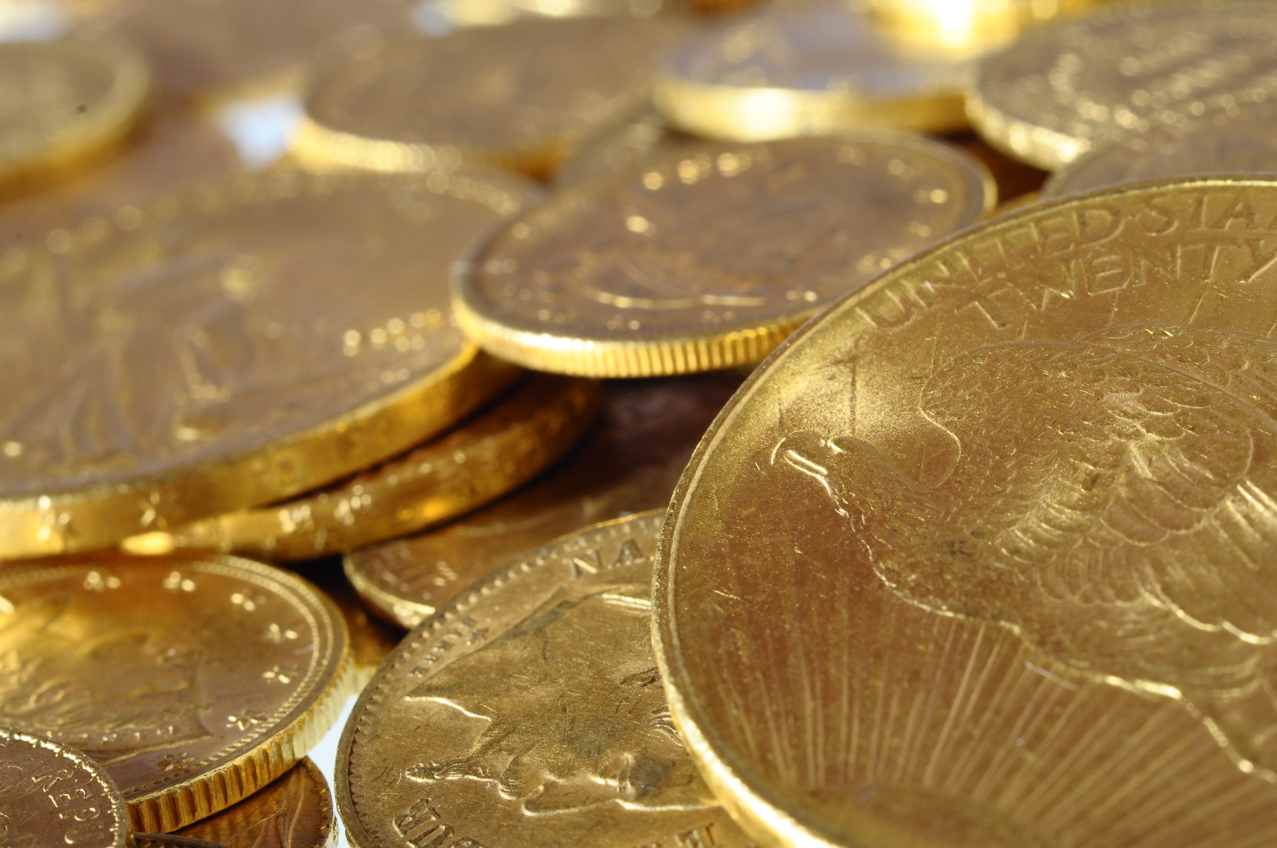 This Dog Walk Led Owner to Discover $10 Million Treasure