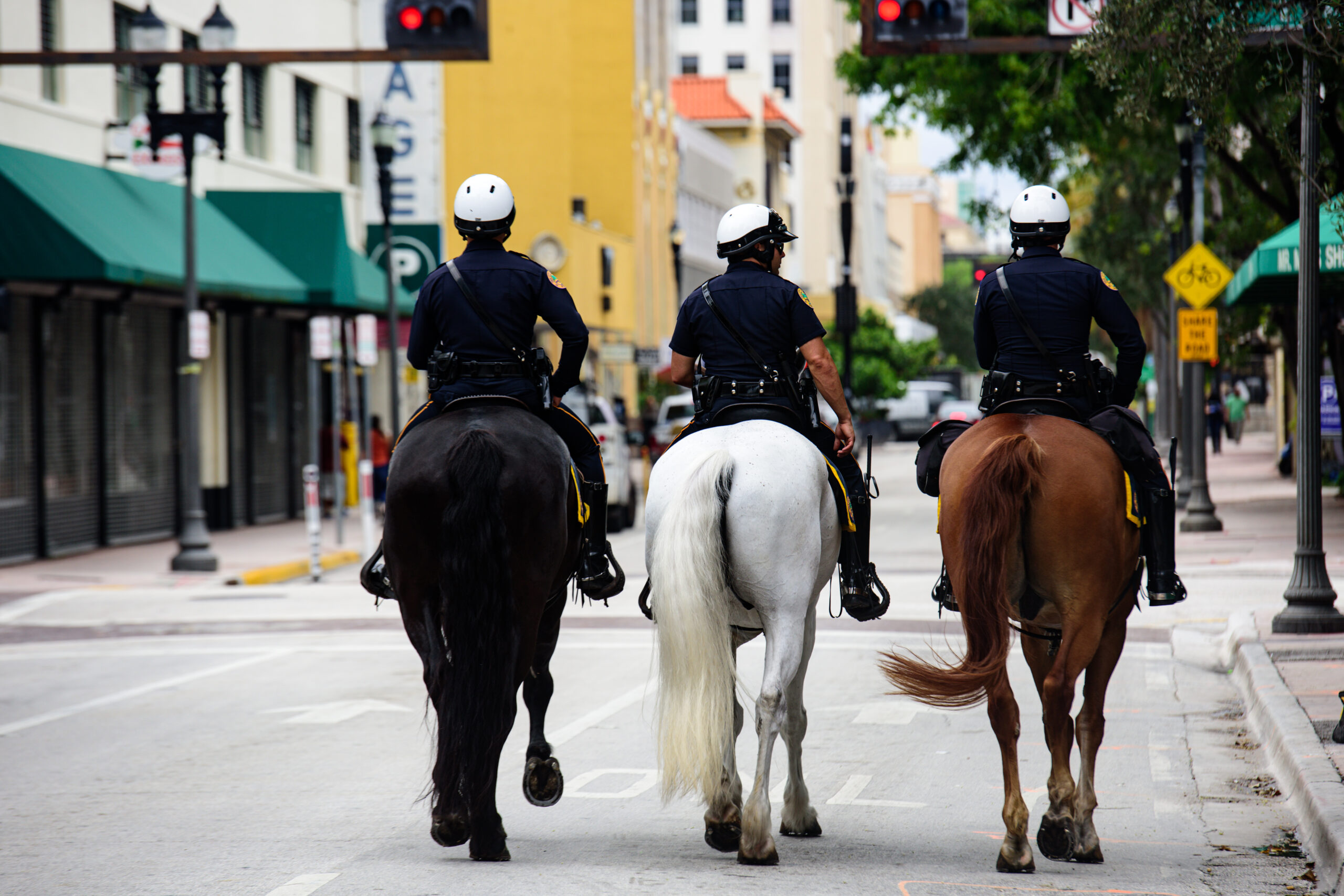 Watch Police Horses Take Down Shoplifter