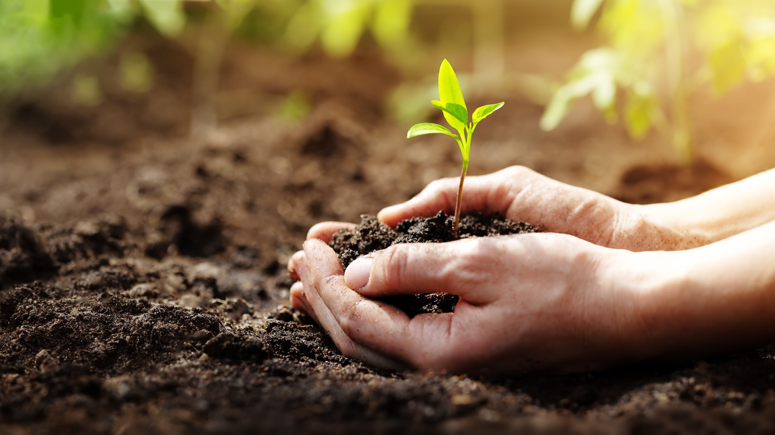 How Farming Shaped Human History