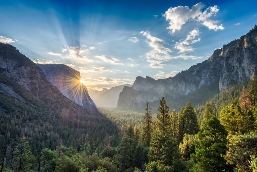 How an FBI Agent Befriended Yosemite-s Deadliest Killer-2