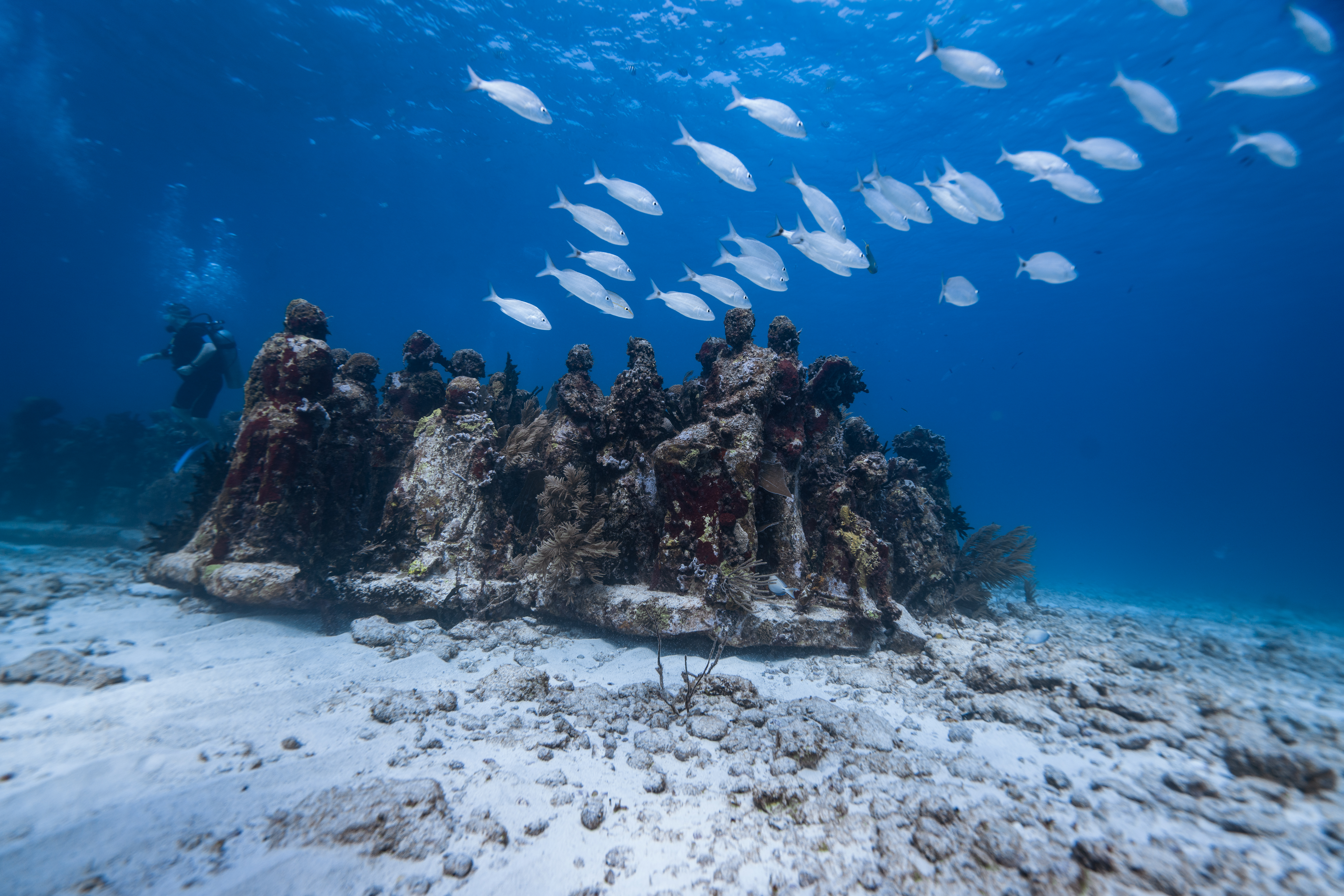 The 10 Strangest Museums Around the World