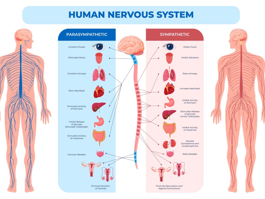 Does Heartbreak Actually Hurt Your Heart?-2
