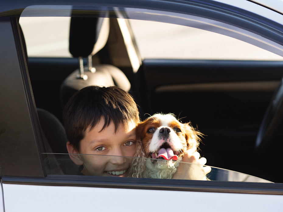10 Things You Should Never Leave in Your Car-11