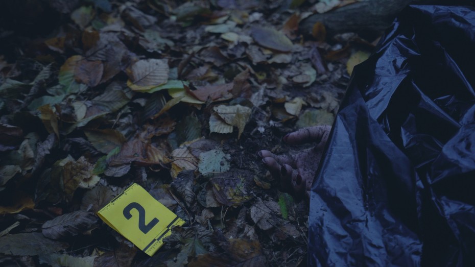 His Friends Left Him Behind at a Party, They Never Saw Him Alive Again