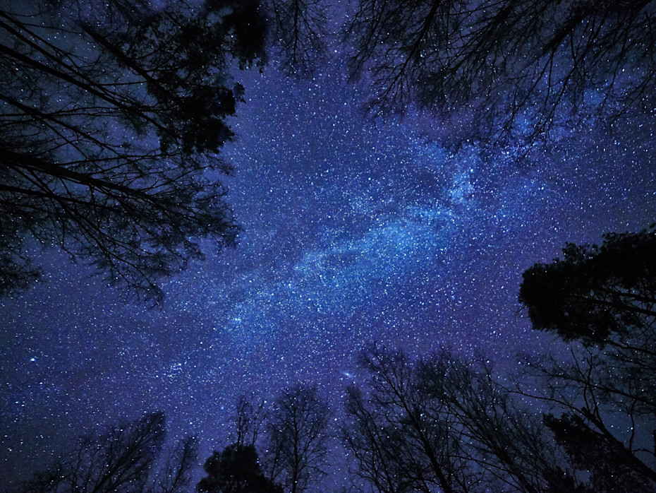 Mosquitoes Are Deadlier Than Sharks and Other Shocking Realities-7