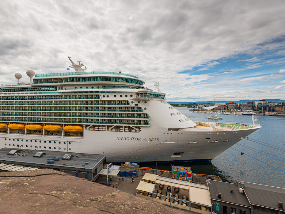 Was Excessive Force to Blame in Royal Caribbean Passenger’s Death?-2