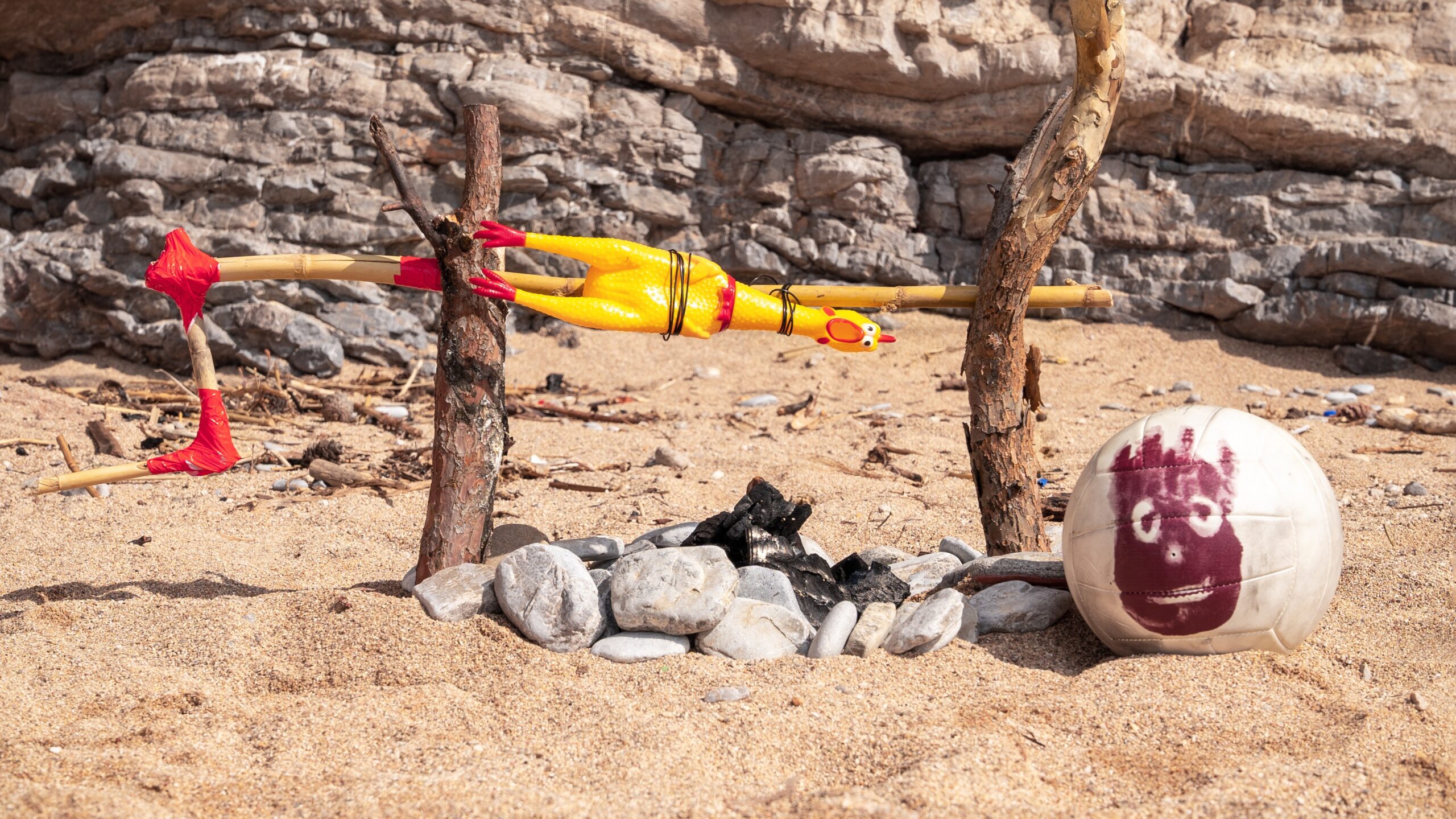 How to Survive on a Desert Island: Expert Tips