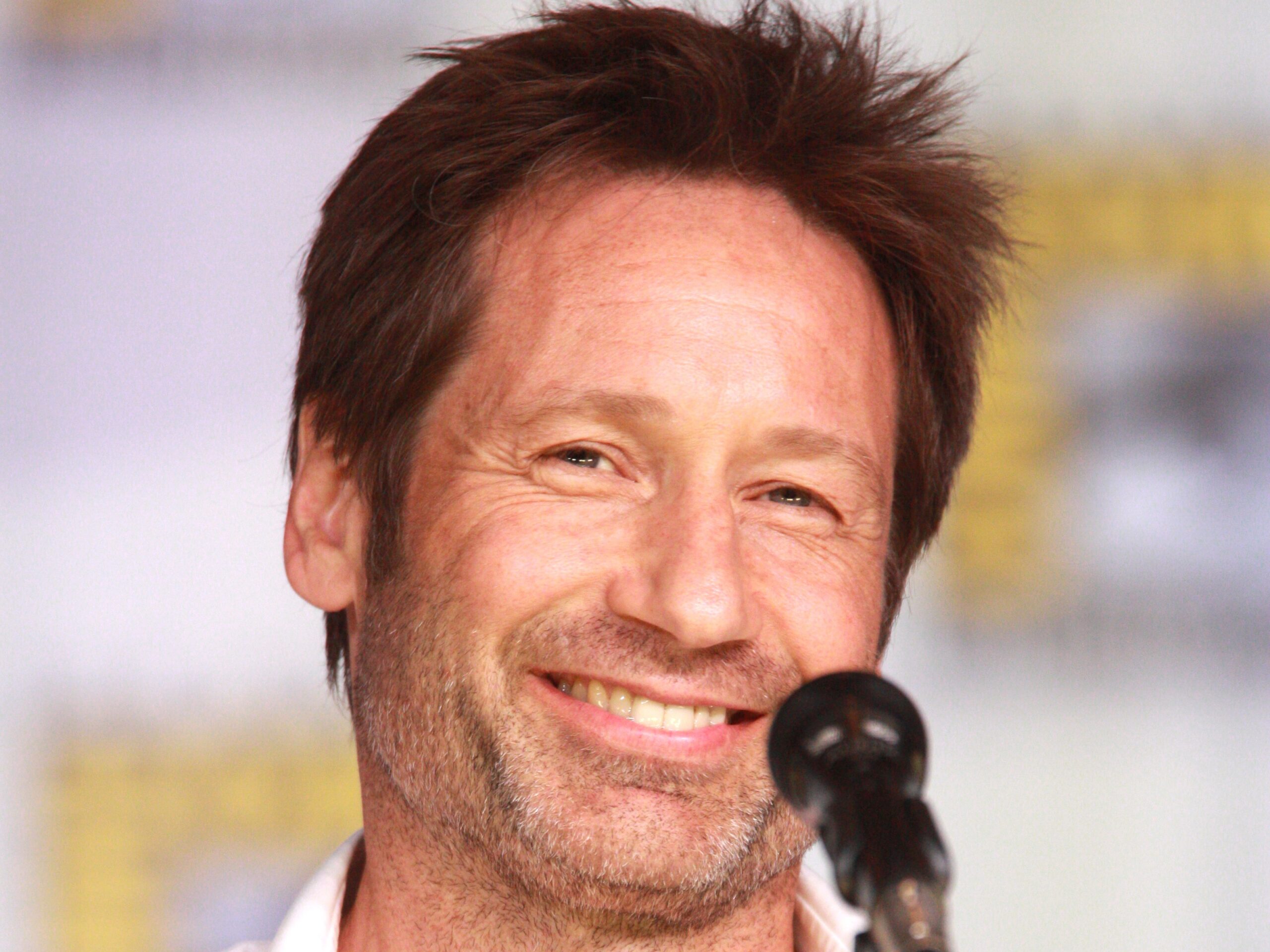 Did David Duchovny Quit Sex Addiction Cold Turkey?