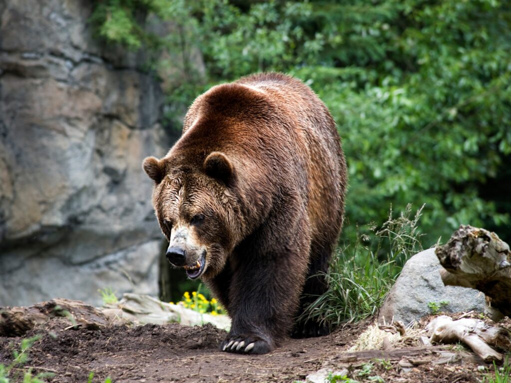 Tennessee Murder Uncovered After Fake 911 Call Leads Police to the Wrong Body-2