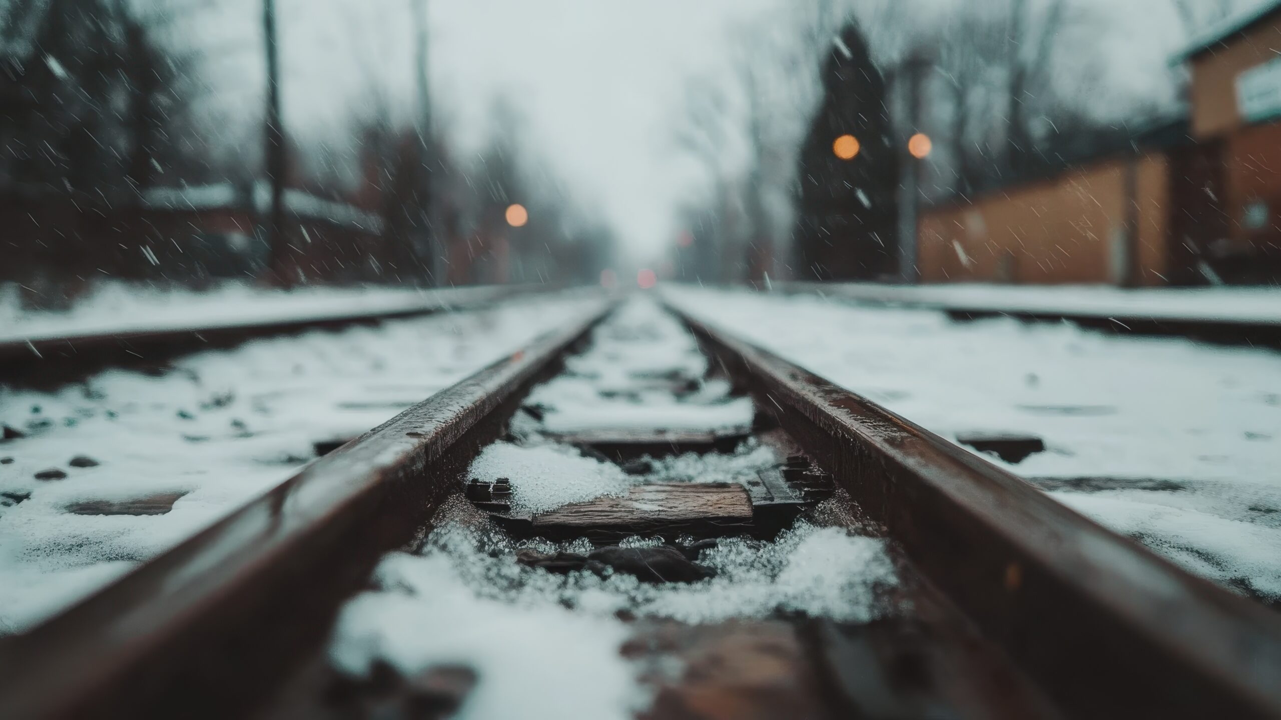 The ‘Perfect’ Yale Murder That Almost Went Unsolved