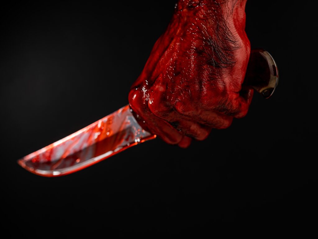 Chicago Man Claims Satan Possessed Him to Kill His Elderly Mother-2