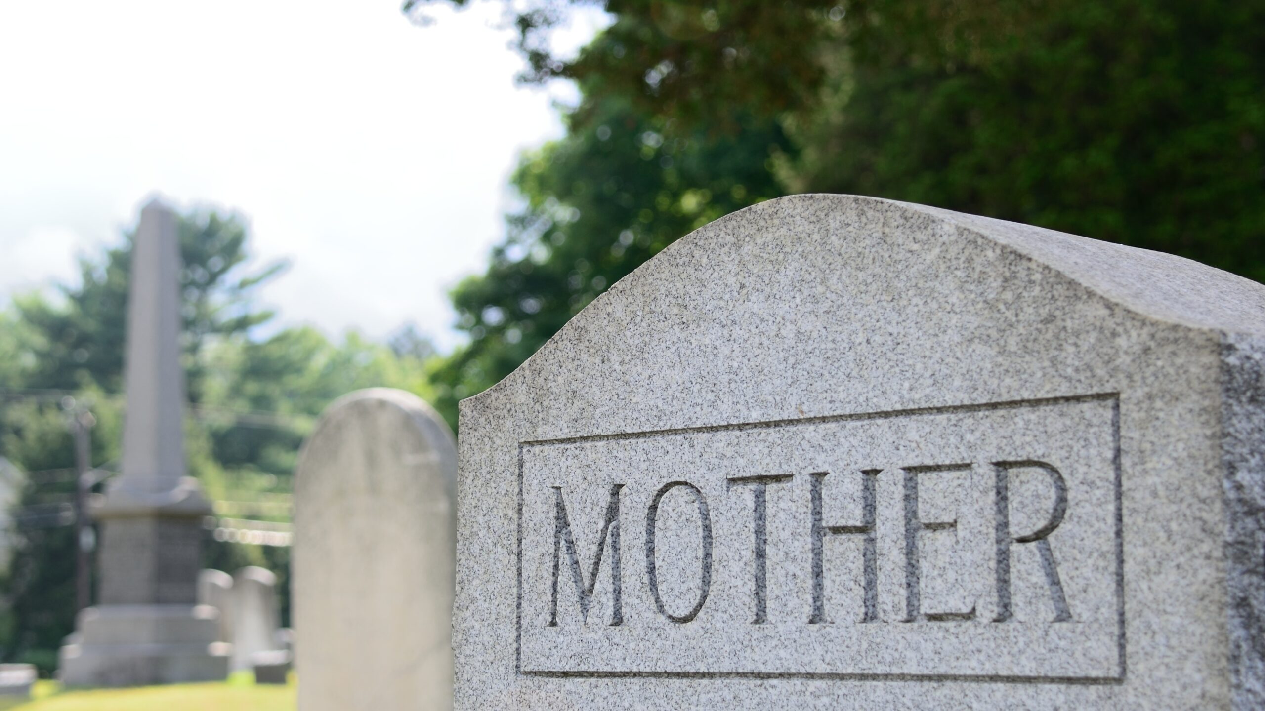 Shocking Family Feud: Daughter Murders Mom Over Eviction