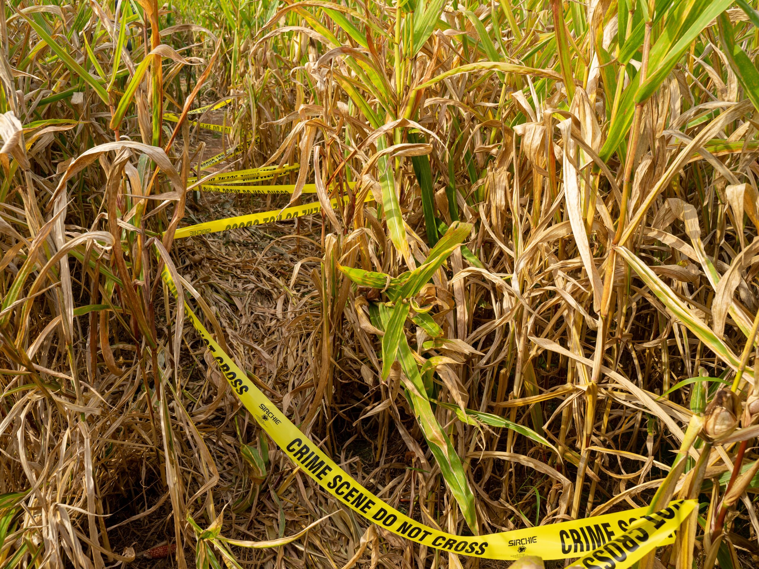 ‘She’s Dead’: Wisconsin Husband Admits to Killing Wife After She Rambled at Him for 7 Hours