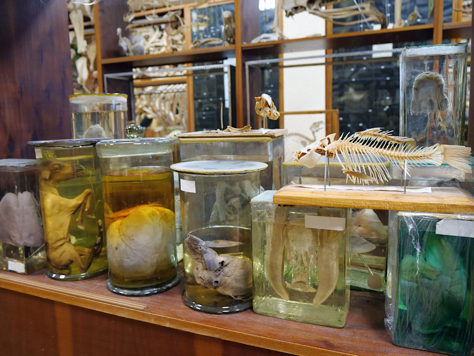 Toe-Tally Disturbing: Aussie Mom Busted for Plot to Sell Human Toes Online-3