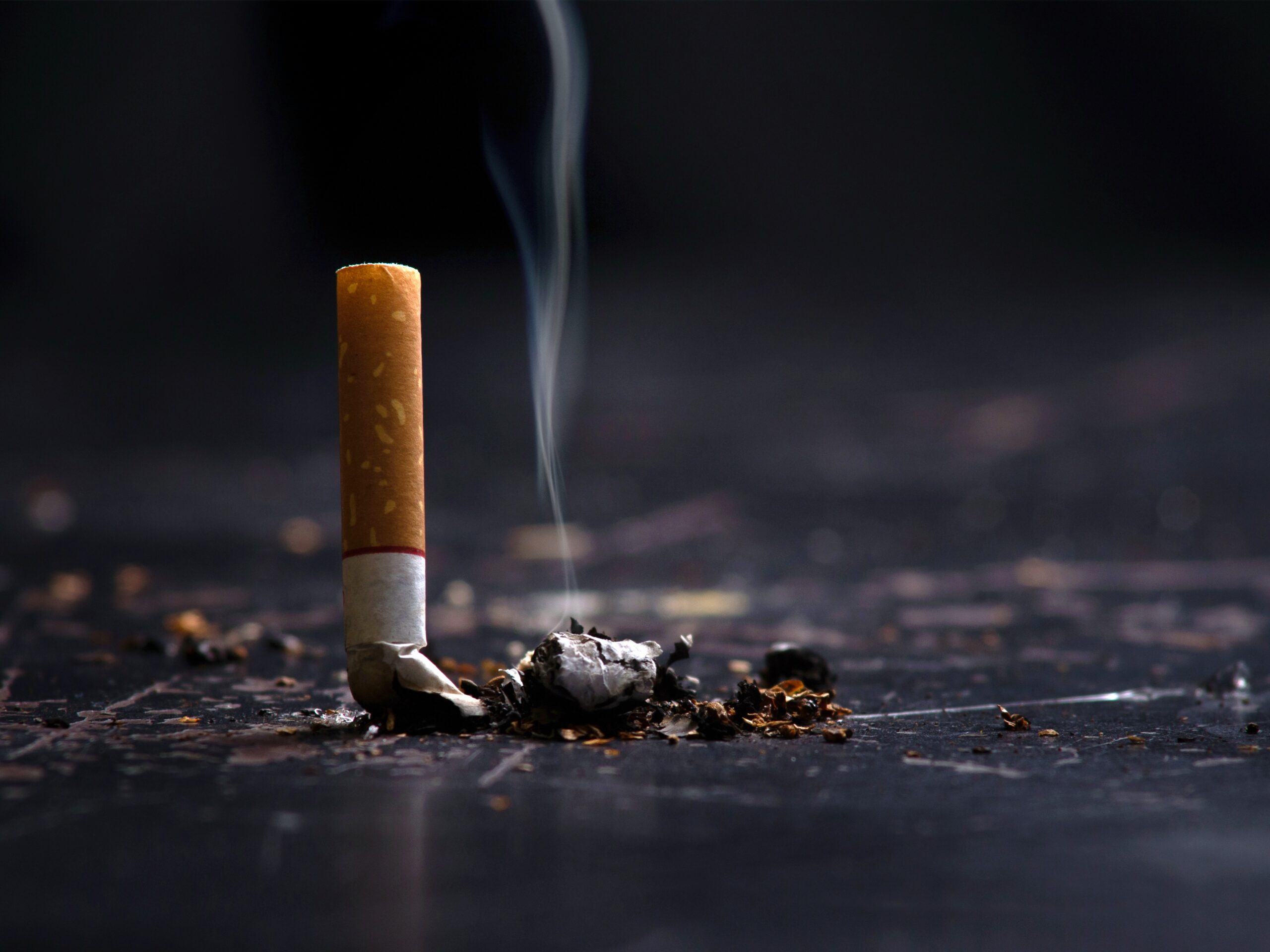 Vermont Singer’s Murder Finally Solved by 1 Cigarette