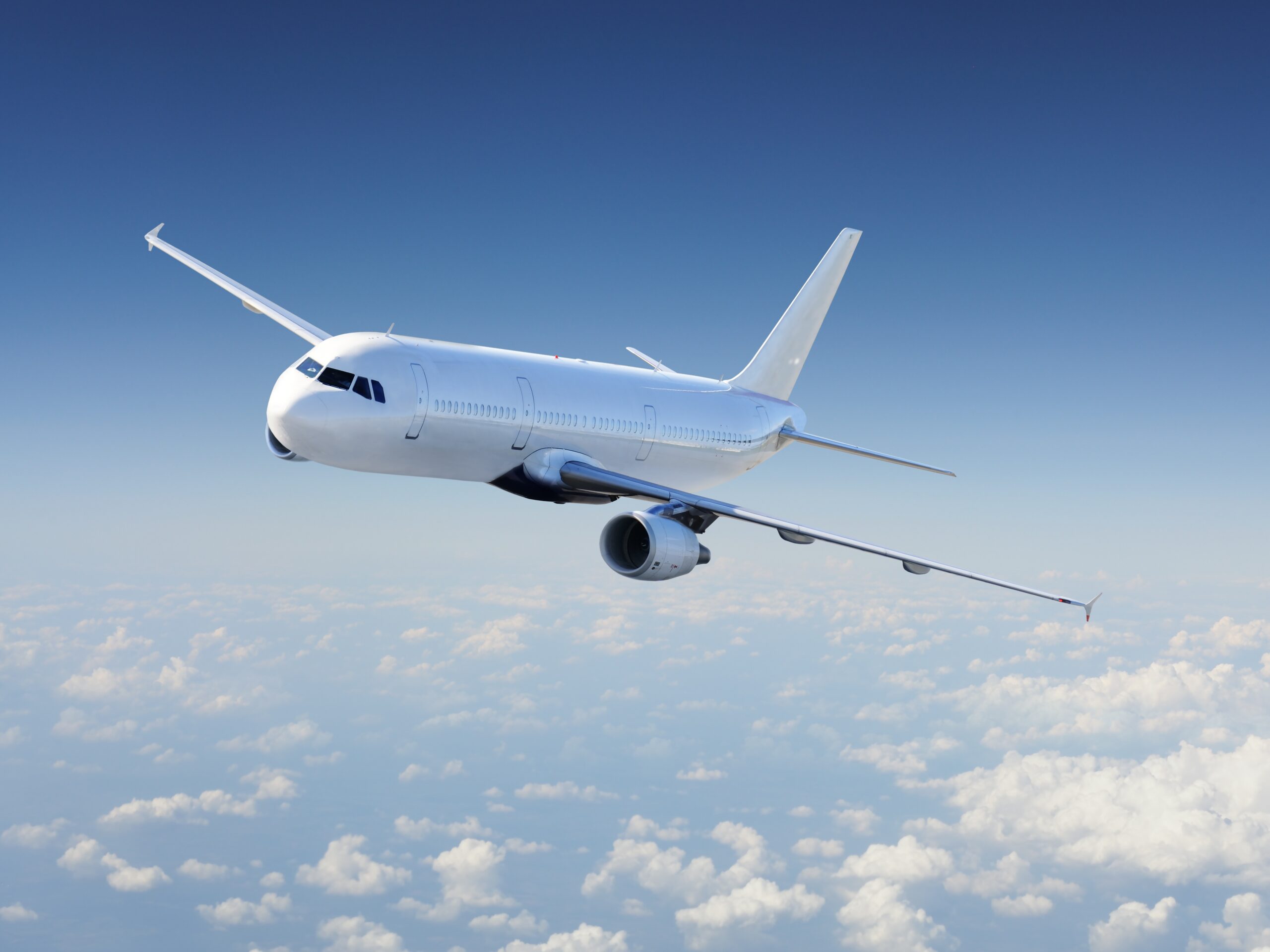 Woman’s ‘Lost’ Bag Found With $120K of Weed Inside