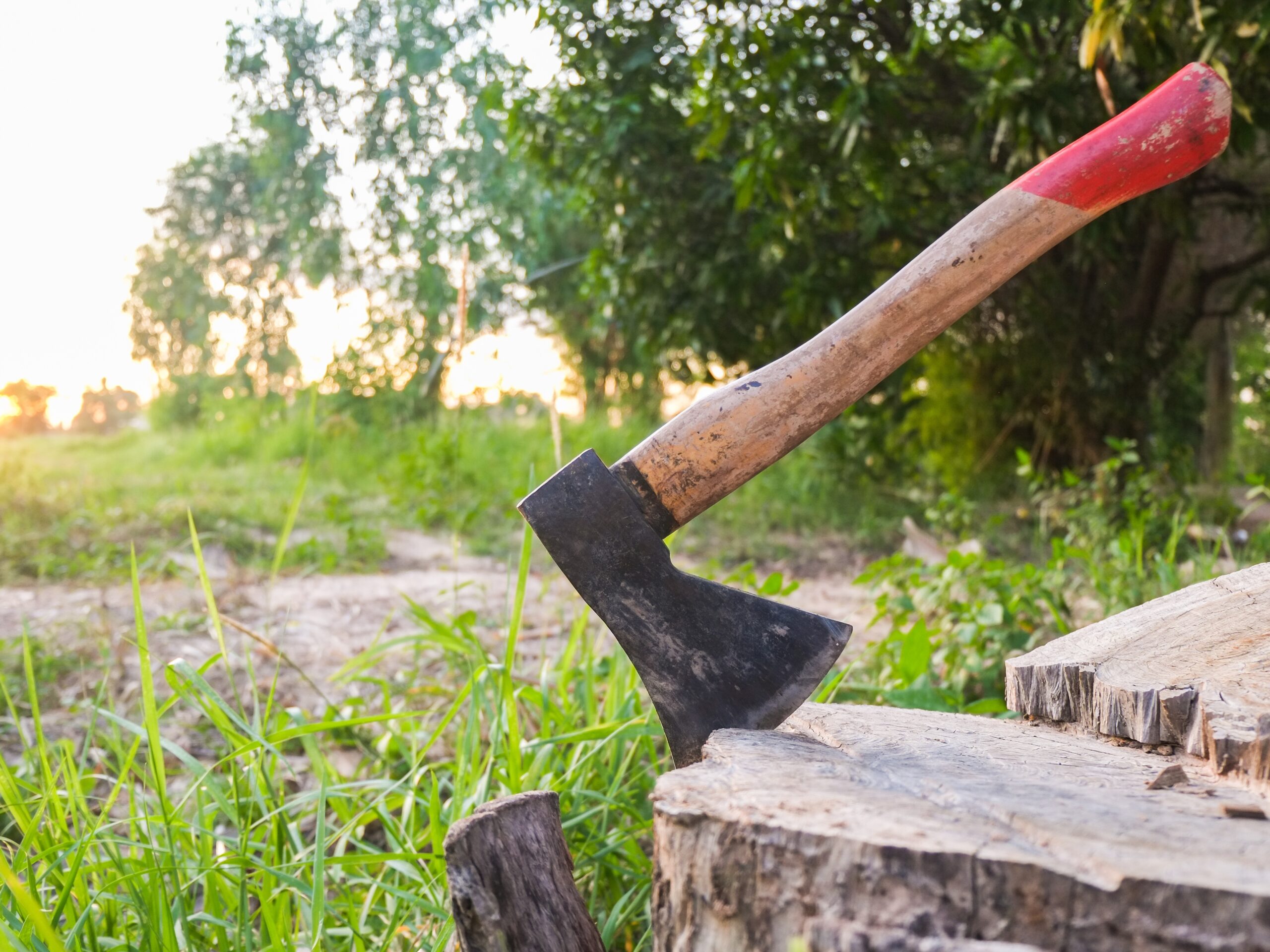 Woman Allegedly Strikes Sleeping Boyfriend With Hatchet