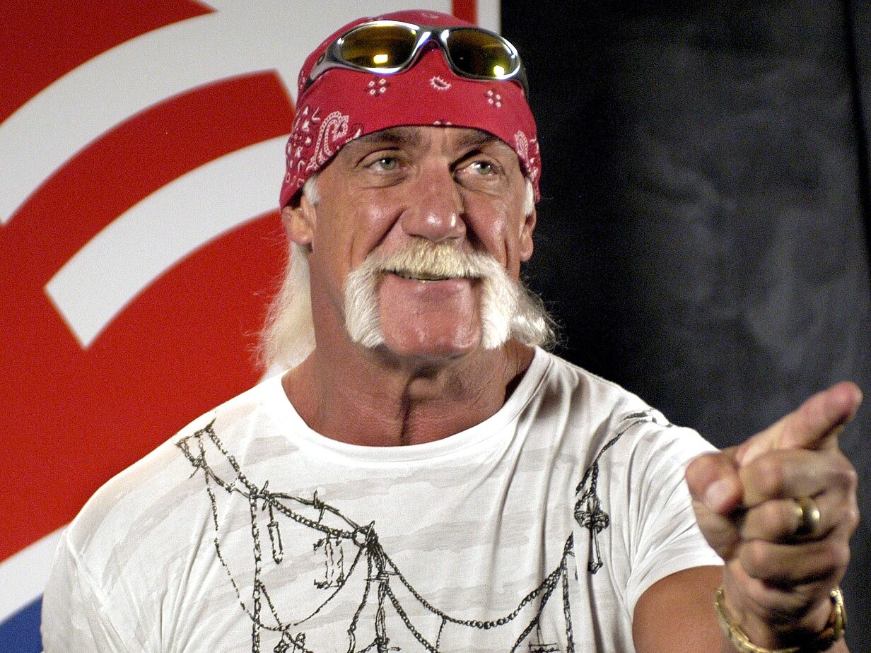 Hulk Hogan Had No Interest in Meeting Grandchildren