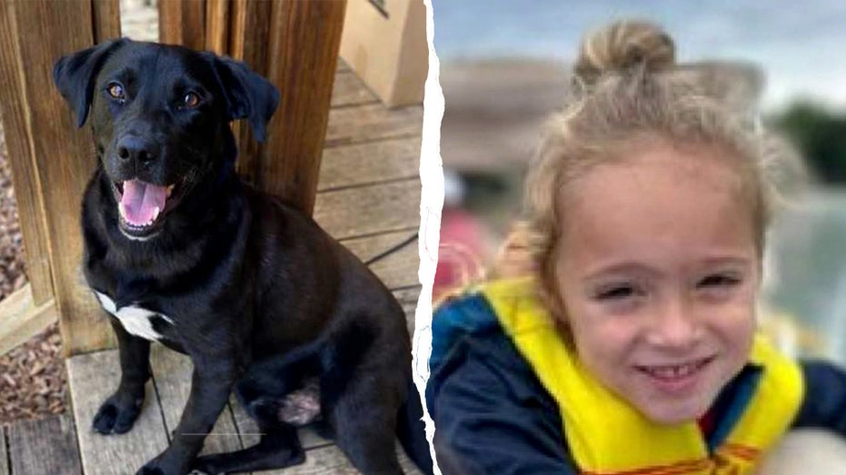 Context image related to the search for 4-year-old Johnathan Boley in Walker County, Alabama.