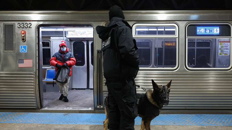 Chicago CTA Blue Line train scene related to the reported fatal stabbing case.