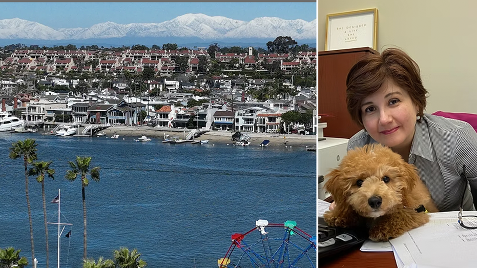 Image related to the case of Aryan Papoli's death and the arrest of her husband, Gordon Abas Goodarzi.