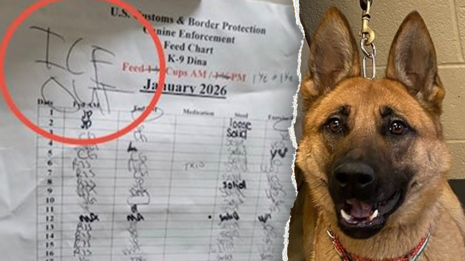 Fox News graphic highlighting the reported 'ICE OUT' note on CBP K-9 Dina's feed chart