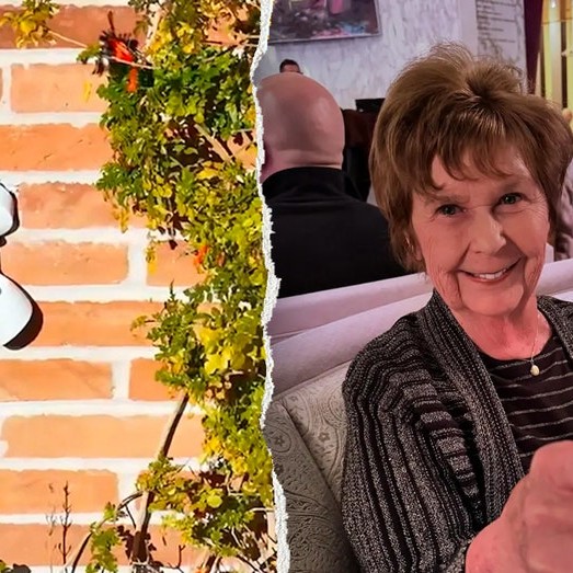 Broken floodlight at Nancy Guthrie's home - foxnews_us