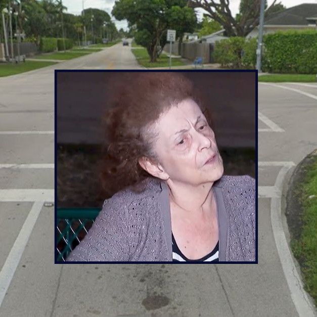 Inset: Karina Pubchara-Martinez (WTVJ). Background: The intersection of SW 32nd Street and SW 82nd Avenue in Miami, Florida, where Pubchara-Martinez allegedly hit a 7-year-old boy on a scooter (Google Maps). - lawandcrime