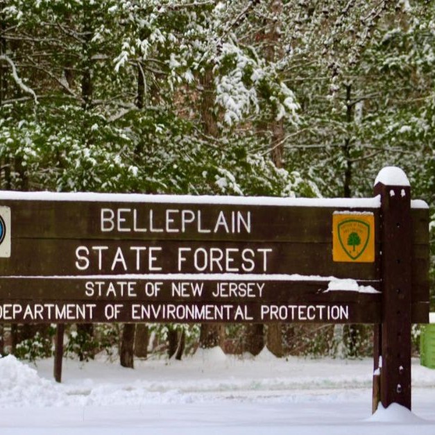 Clockwise from left: Belleplain State Forest sign (Belleplain State Forest, NJ), Laura Hughes (GoFundMe), and the composite sketch of the tattoos on the body found in December 2024 (NJ State Police). - Law & Crime