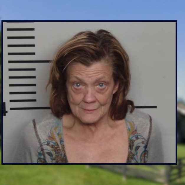 Inset: Elizabeth H. Radmacher (Louisville Metro Corrections). Background: The apartment complex Radmacher allegedly set ablaze in Louisville, Ky. (Google Maps). - am22.mediaite.com