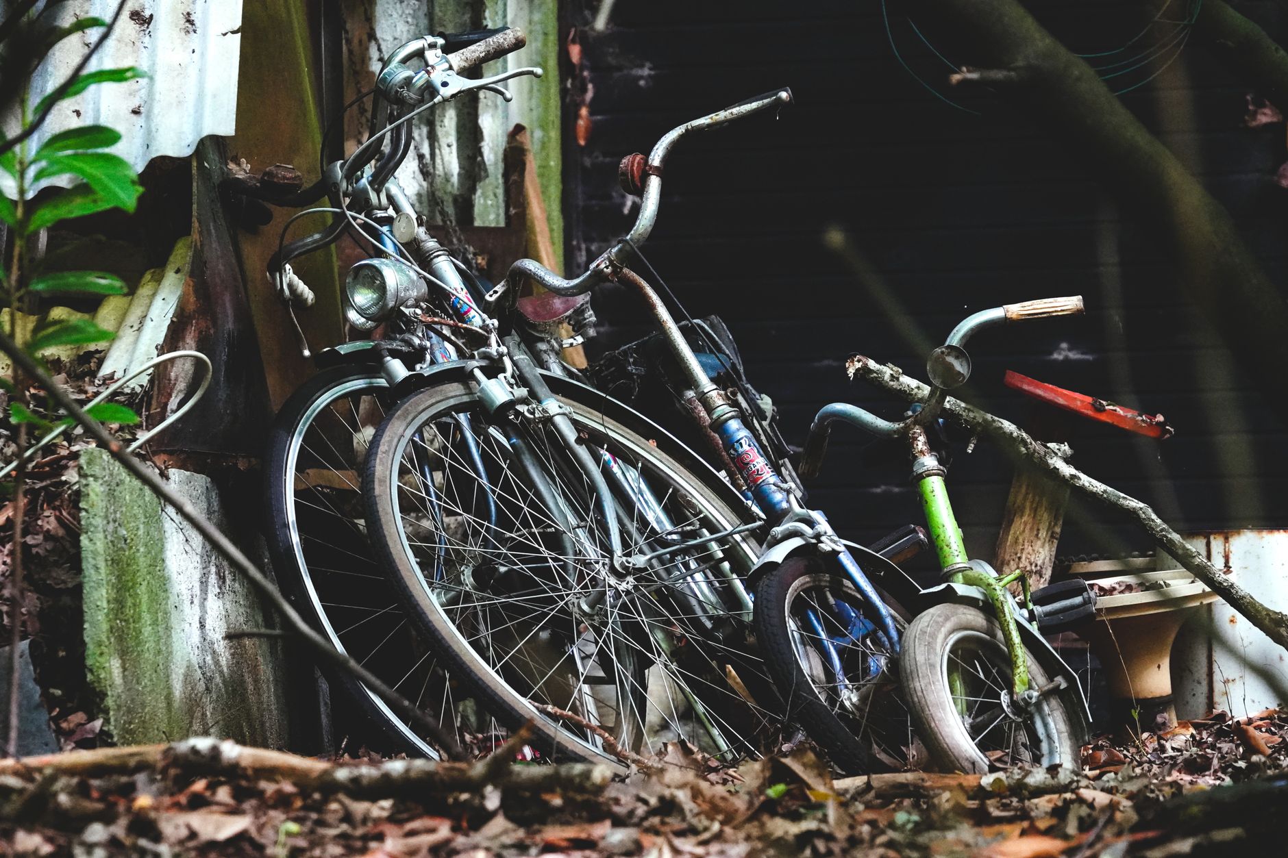Two brothers, a bike trade, and the killing of Autumn Pasquale
